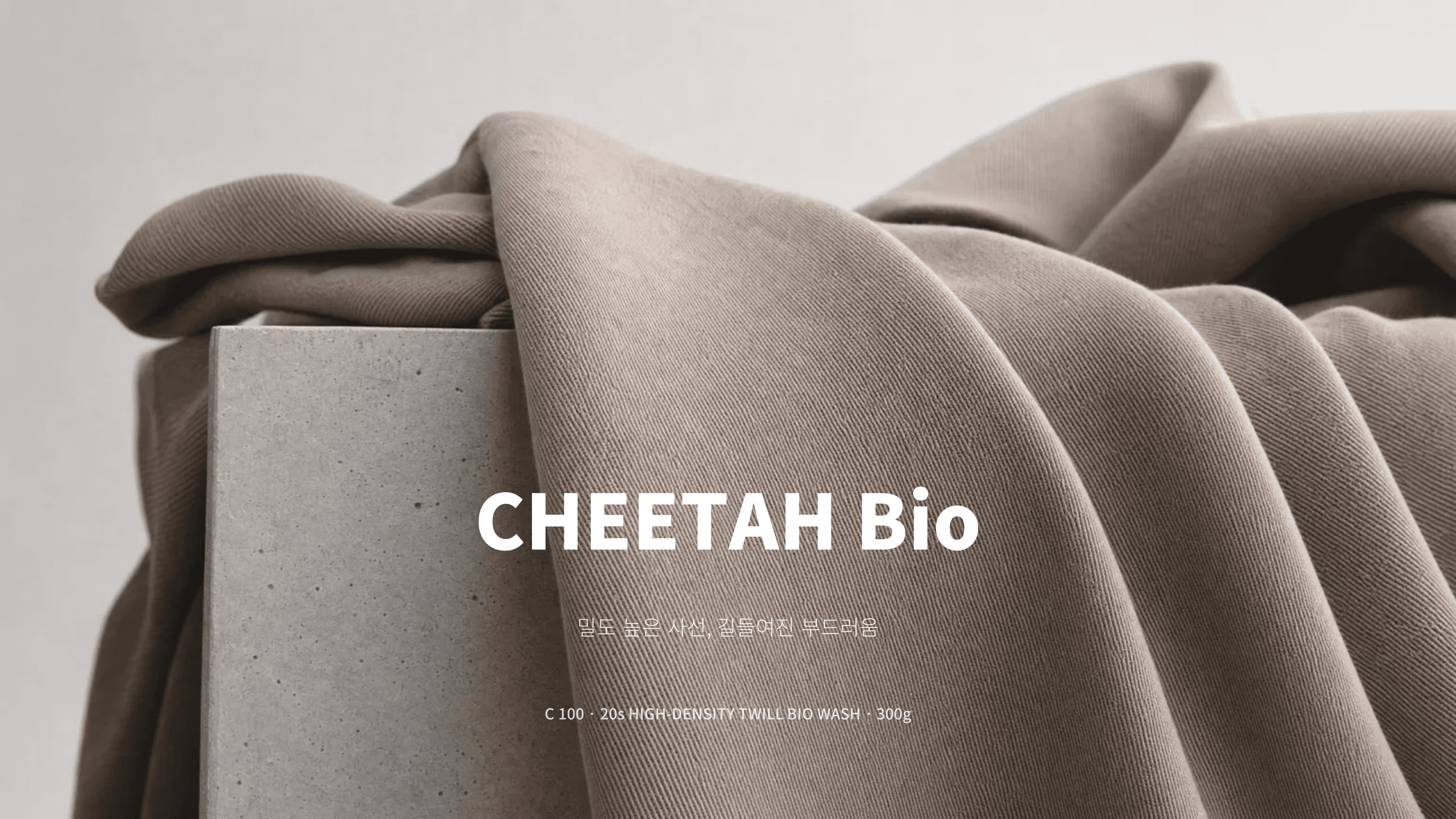 치타 상세 이미지 1
